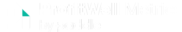 PW-Metrics-Paddle-Logo-White